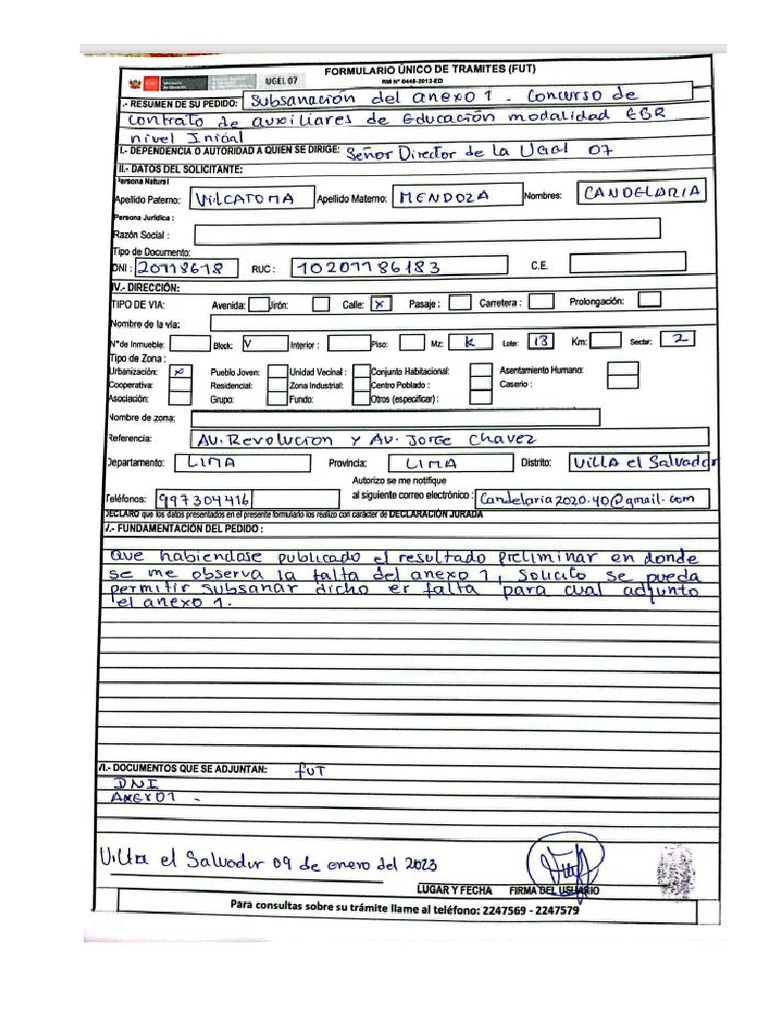 Subsanar Anexo 1 - Vilcatoma Mendoza Candelaria | PDF