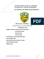 Informe Nº2 Biologia General