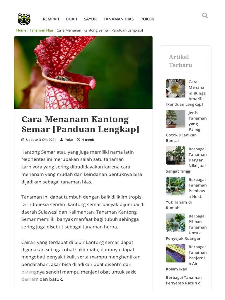 Cara Menanam Kantong Semar (Panduan Lengkap) Kutanam PDF