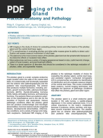 Neuroimaging of The Pituitary Gland Practical Anatomy and Pathology, 2020