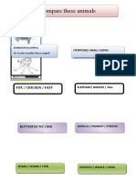 Comparative and Superlative