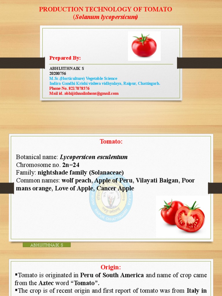 Tomato Production Technology Overview | PDF | Tomato | Flowers