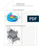 LKS Organisasi Kehidupan Sel Hewan dan Tumbuhan