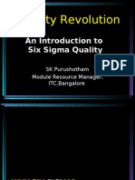 Quality Revolution: An Introduction To Six Sigma Quality