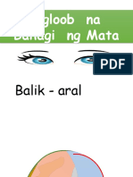 Pang Loob Na Bahagi NG Mata at Mga Gawain