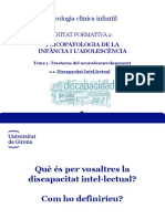 TEMA1.DISCAPACITAT INTEL - LETECTUAL - Part1