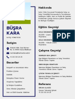 Beyaz, Profesyonel, CV, Özgeçmiş