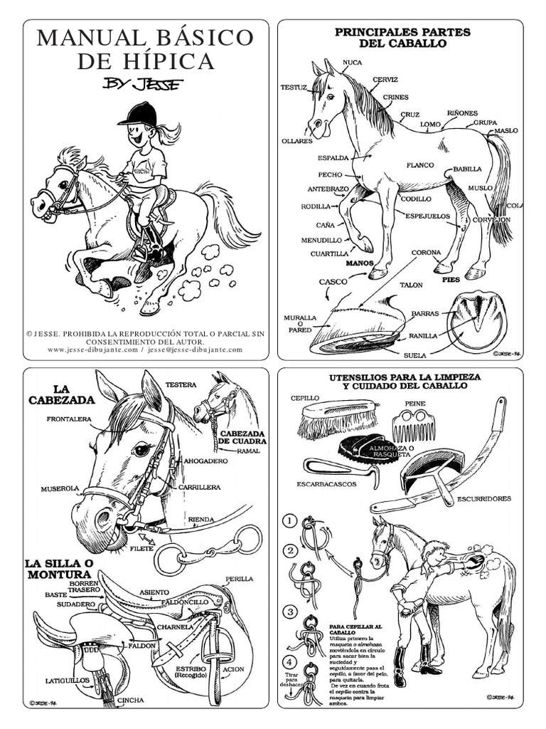 manualde-hipica-94-pdf