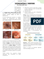 Aula 2 - Refluxo Gastroesofágico e Dispepsias (Resumo Do%2