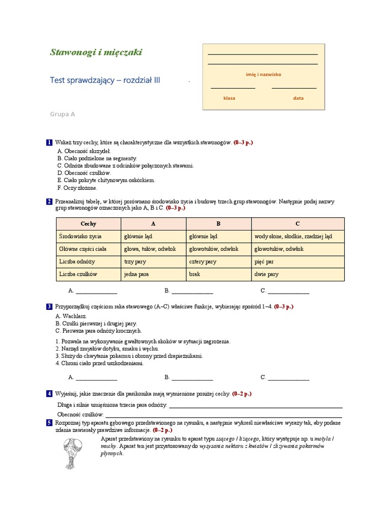 Większość Pajęczaków To Zwierzęta Roślinożerne