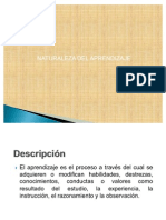 NATURALEZA DEL APRENDIZAJE PPP May 28 - Presentación Resumida 2