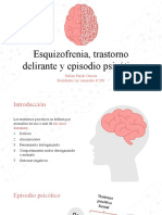 Trastornos psicóticos: esquizofrenia, delirante y episodio