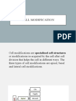 Cell Modifications: Types and Functions