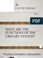 Final VPhy102 Functional Anatomy of The Urinary System