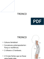 A9 - Tronco 2 Cinesiologia