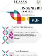 Ingeniería: Genética