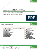 PAK262 - 002-Glucose Metabolism