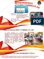 Organización Curricular22222222222222222