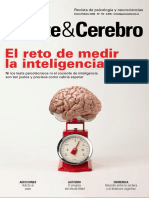 El Reto de Medir La Inteligencia: Revista de Psicología y Neurociencias