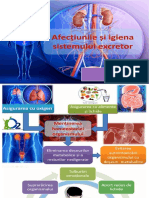 Afecțiunile Sistemului Excretor