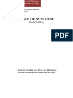 Note de Synthèse TANIT