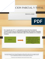 Inmovilizacion Parcial y Total