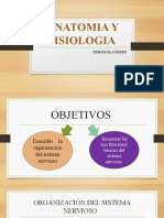 Anatomia y Fisiologia SN