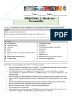 CP3 - Pupil Lab Report Booklet