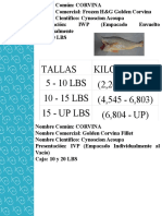 Habladores Clasificación Por Talla