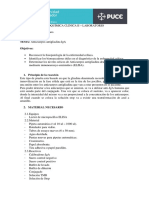 Informe N°8 Bioquímica Clínica Karla Bejarano