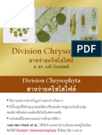 Division Chrysophyta