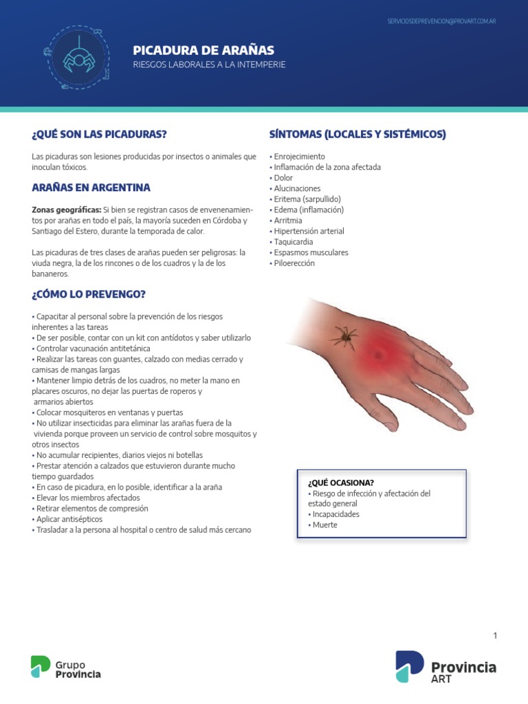 PART_Ficha_infografia_picadura_de_arañas | PDF | Medicina ...