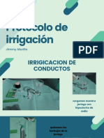 Protocolo de Irrigación