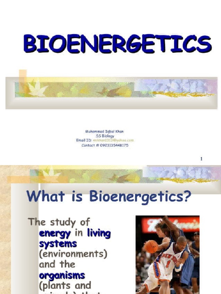 Bio Energetics PDF