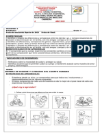 Guia 4 Semestre Dos Grado Primero 2021