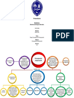 Mapa Conceptual de Presupuesto-Marilenia Dominguez