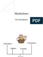 Metabolismo e Catabolismo - Bioquimica