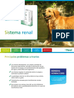 Sistema renal: tratamientos y casos clínicos