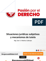 Situaciones jurídicas subjetivas y mecanismos de tutela