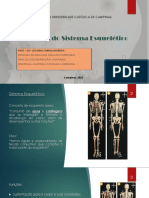 Anatomia do Sistema Esquelético