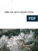 Ice Rain South China Effects