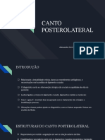 Lesões do canto posterolateral do joelho