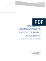 Informe Diagnóstico Organizacional Rentas