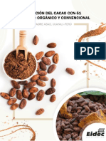 Producción cacao CCN-51 manejo orgánico y convencional Padre Abad Ucayali-Perú