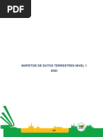 Modelo PROMINP-10end