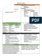 Adecuaciones Curriculares Resumen PDF