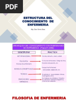 Filosofía y Visiones de Enfermería