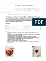 Dissection of The Mammalien Heart