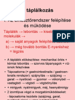 A Táplálkozás - Új