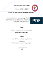 Poblacion Muestra Infninita PDF 2